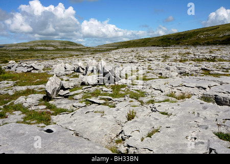 Ireland, County Clare, The Burren, Clint blocks of limestone and gryke ...