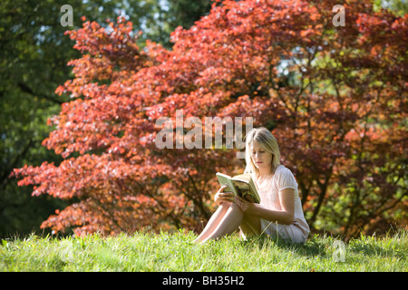 Pretty woman reading a book in the autumnal sunshine.  Picture by James Boardman Stock Photo