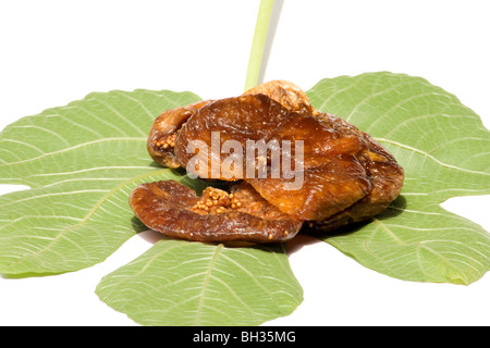 Dried figs on a fresh fig leaf on white background Stock Photo