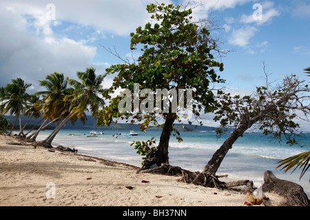 Las Galeras beach, Samana peninsula, Dominican Republic Stock Photo