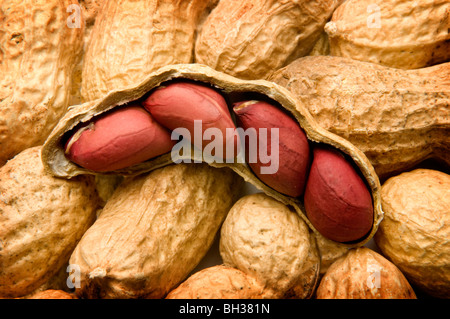 peanuts in open shell Stock Photo