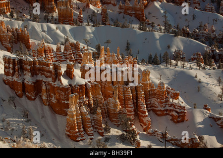 Snow covered hoodoos in Bryce Canyon National Park Stock Photo