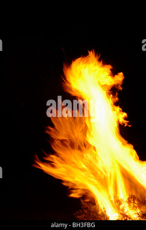 Mesmerizing Flames of a Brush Fire Stock Photo - Alamy