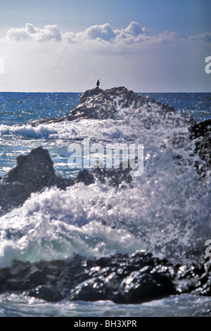 SEASIDE, ROCKY OVERHANG, PROPRIANO, SOUTH CORSICA (2A), FRANCE Stock Photo