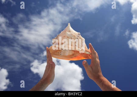 Man's hands holding a large sea shell in air against a blue cloudy sky Stock Photo