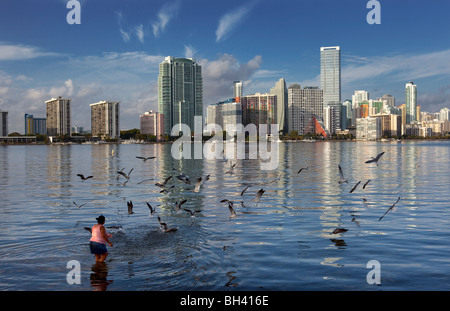 Miami Skyline & Biscayne Bay, Miami, Florida Stock Photo