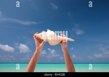 Man's hands holding a large sea shell in the air on a deserted tropical beach Stock Photo