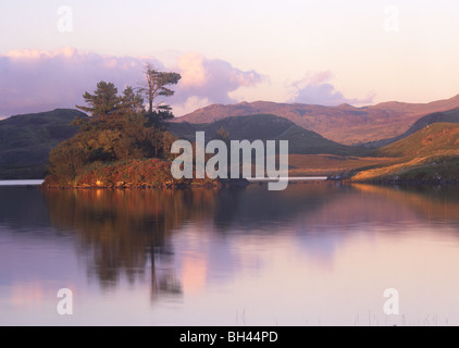 Llynnau Cregennen Island reflected in lake Snowdonia National Park Gwynedd Mid Wales UK Stock Photo