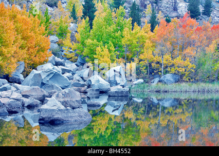 Cardinal Pond with fall colored aspens. Bishop Canyon. California