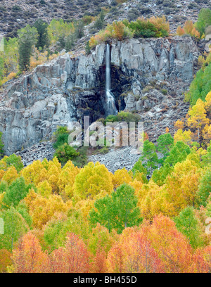 Small seasonal waterfall and fall colored aspens. Bishop Canyon. California
