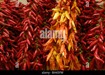 Red Hot Chili Peppers, Capsicum annuum, Capri Island Neaples, Campania, Italy Stock Photo