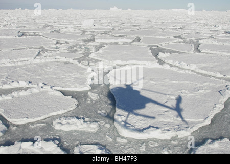 Icebergs in the Southern Ocean, off the coast of Antarctica. Stock Photo