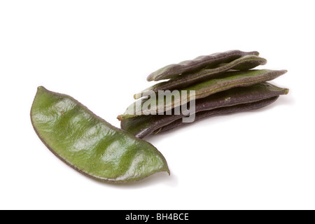 Indian bean Common name: Lablab Bean, Hyacinth bean, Bonavista bean, Egyptian bean. Synonyms: Dolichos lablab, Dolichos purpureu Stock Photo