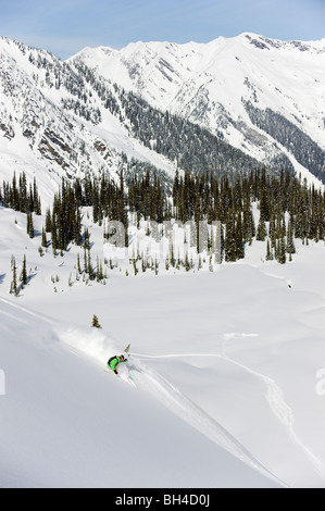 A backcountry skier enjoys the powder down to the valley floor of the Selkirk Mountains, British Columbia, Canada. Stock Photo