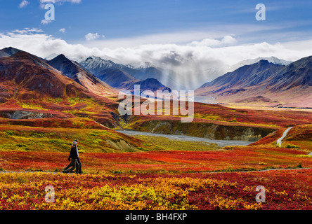 Hikers, fall colours and Alaska Range, Denali National Park, Alaska Stock Photo