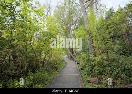 Nature trail in Fairylake Park, Newmarket, Ontario Stock Photo