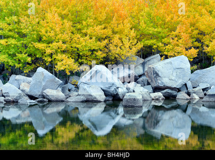 Cardinal Pond with fall colored aspens. Bishop Canyon. California