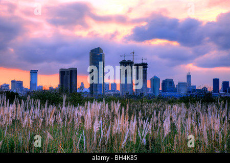 Ecological reservation Park, by River Plate (Rio de la Plata). 'Costanera Sur'. Buenos Aires, Argentina, south america. Stock Photo