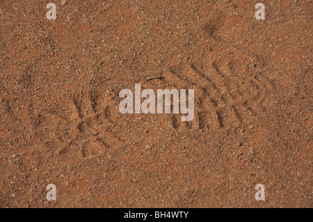 Footprint in the sand on a beach in the Galapagos. Stock Photo