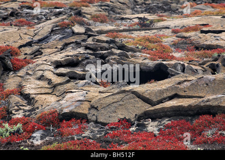 Chinese Hat Islet Ecuador Galapagos Stock Photo