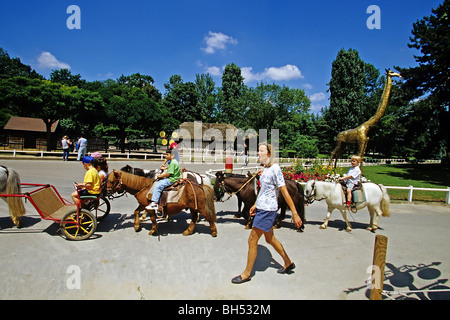 PONY RIDE IN THE JARDIN D'ACCLIMATATION, PARIS (75), FRANCE Stock Photo