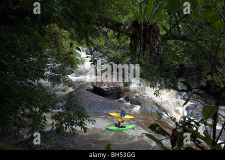 Whitewater paddlers and wet season flooding at Crystal Cascades, Redlynch, Cairns, north Queensland, Australia. No MR or PR Stock Photo
