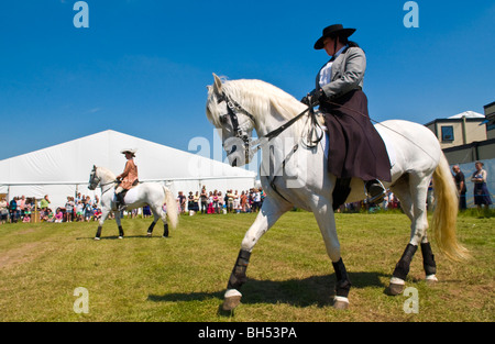 The Pen Llyn Classical Dressage Team give a display of horsemanship at Hay Festival 2009. Stock Photo