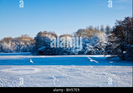 The frozen waters of a small lake known as Liden Lagoon in Swindon, Wiltshire, England, UK taken in January 2010 Stock Photo