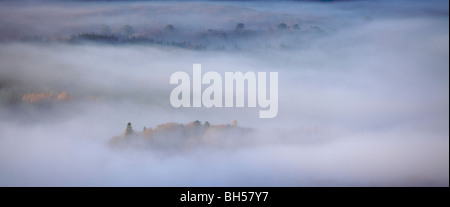 An elevated panoramic view of autumn trees shrouded in mist, Glengarry, Scotland Stock Photo