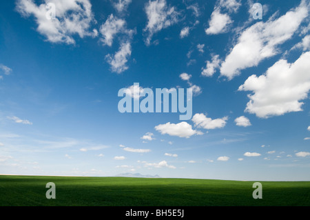 green spring fields against blue sky north of Joplin Stock Photo