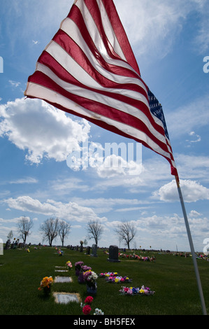 Memorial Day Flags in Cutbank Stock Photo