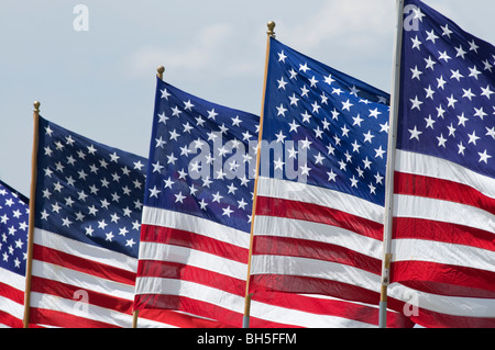 Memorial Day Flags in Cutbank Stock Photo