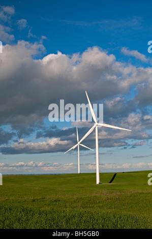 Shiloh II Wind Project near Rio Vista, California. Stock Photo