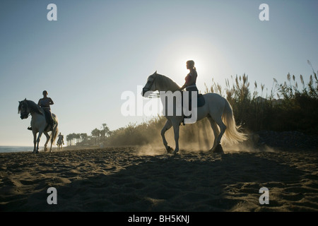 Three women riding horses on beach Stock Photo