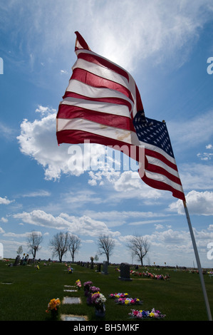 Memorial Day Flags in Cutbank Stock Photo