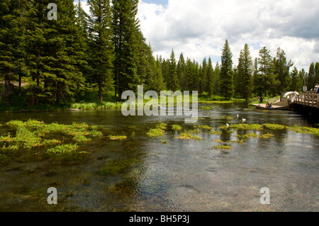 Big Springs, the headwaters of the Henry's Fork of the Snake River Stock Photo