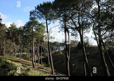 Boscombe chine gardens Stock Photo