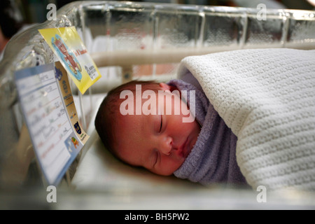 New born baby boy sleeping in hospital cot shortly after birth Stock Photo