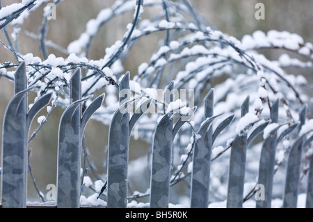 Concertina razor wire mounted onto galvanized steel  pointed fence. Stock Photo