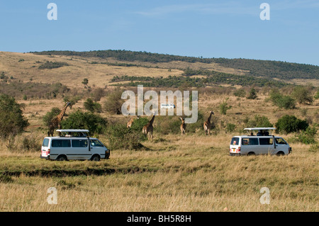 Tourists on safari watching giraffes, Masai Mara National Reserve, Kenya. Stock Photo