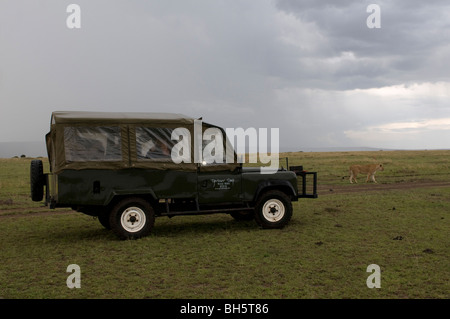 Jeep during a safari, Masai Mara National Reserve, Kenya. Stock Photo