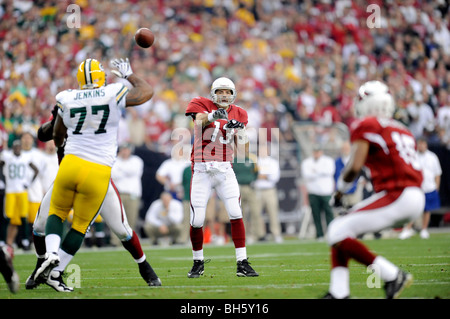 Arizona Cardinals professional american football club, silhouette