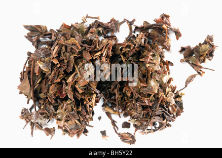 Spent Darjeeling tea leaves Stock Photo
