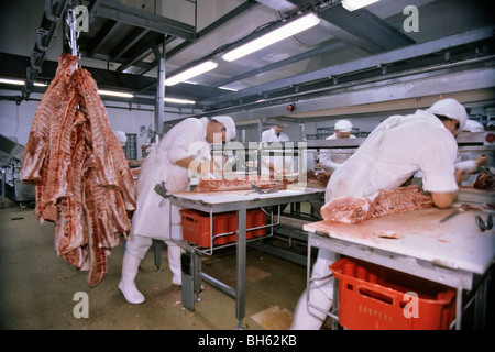 PREPARING AND CUTTING UP OF THE PIGS IN A SLAUGHTERHOUSE, BRITTANY, FRANCE Stock Photo