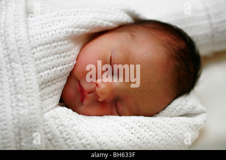 New born baby boy sleeping shortly after birth, swaddled in white blanket in hospital. Stock Photo