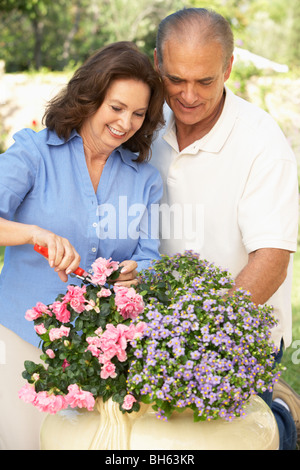 Senior Couple Gardening Together Stock Photo