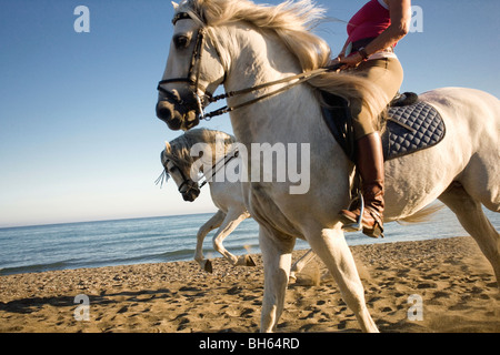 Two women riding horses on beach Stock Photo