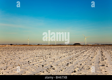 Snowy Landscape, Lincolnshire Fens, England, Great Britain, UK Stock Photo