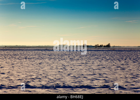 Snowy Landscape, Lincolnshire Fens, England, Great Britain, UK Stock Photo