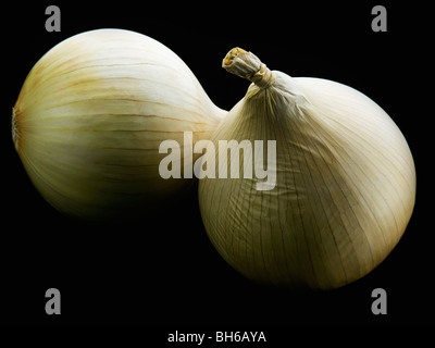 Two white onions set against black Stock Photo
